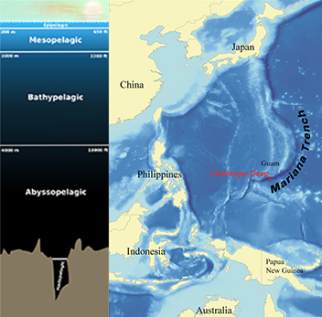 layers of the ocean and map of Mariana Trench